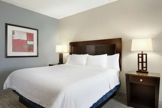 休士頓/清水湖 - Nasa 區希爾頓歡朋套房飯店-標準大床-1