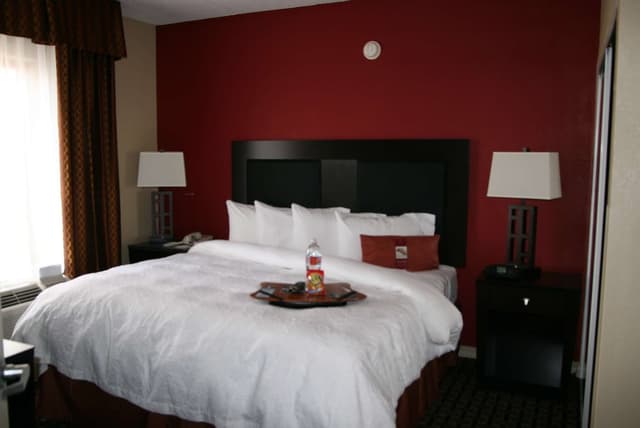 休士頓/清水湖 - Nasa 區希爾頓歡朋套房飯店-套房, 1 張特大雙人床和 1 張沙發床, 簡易廚房-3