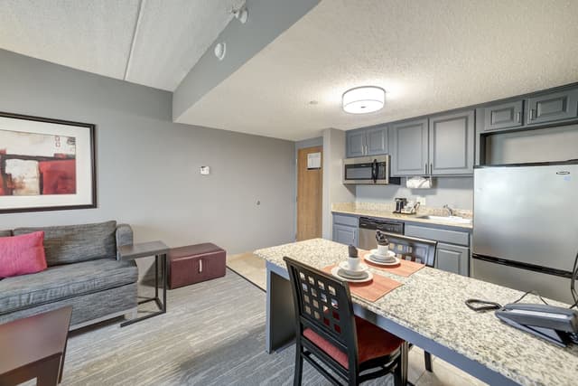 休士頓/清水湖 - Nasa 區希爾頓歡朋套房飯店-套房, 1 張特大雙人床和 1 張沙發床, 簡易廚房-4