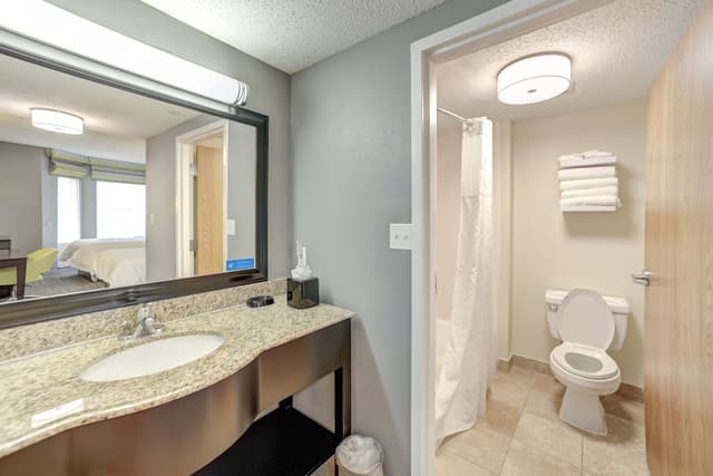 休士頓/清水湖 - Nasa 區希爾頓歡朋套房飯店-套房, 1 張特大雙人床和 1 張沙發床, 簡易廚房-9