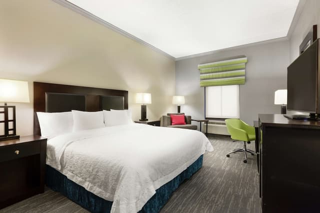 休士頓/清水湖 - Nasa 區希爾頓歡朋套房飯店-客房, 1 張特大雙人床, 無障礙, 非吸煙房-3