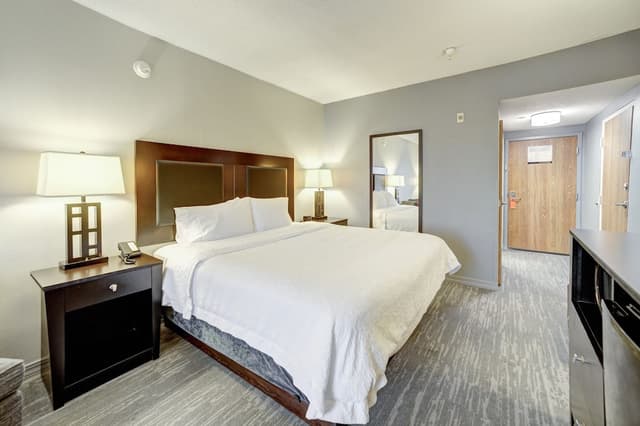 休士頓/清水湖 - Nasa 區希爾頓歡朋套房飯店-標準大床-2