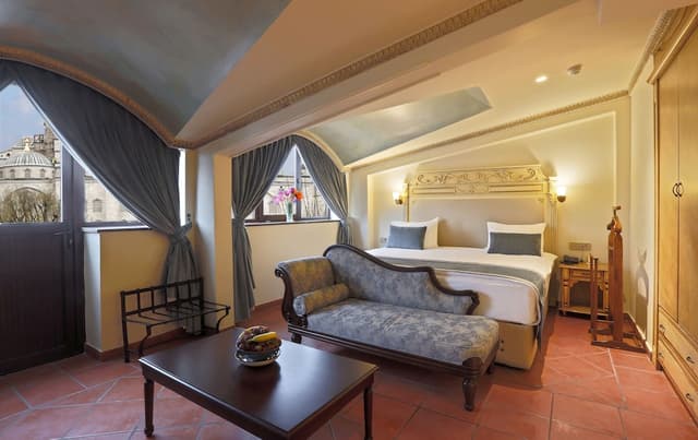술탄아흐메트 팰리스 호텔 - 스페셜 클래스-Deluxe Room With Blue Mosque View-1