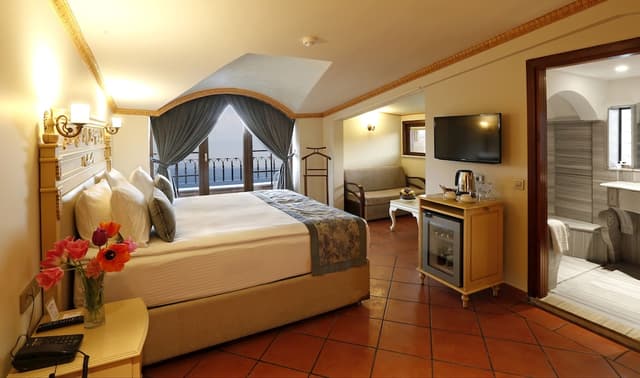 술탄아흐메트 팰리스 호텔 - 스페셜 클래스-Deluxe Room With Blue Mosque View-4