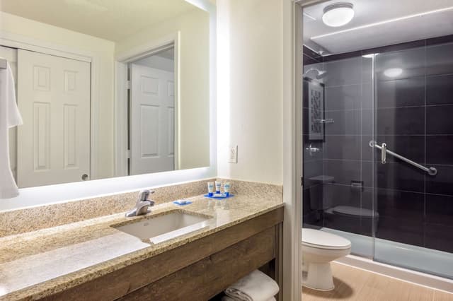 HYATT house Houston/Galleria-Studio Suite, 1 King Bed with Sofa bed-4