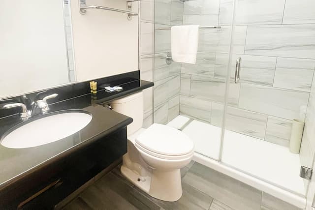 Rodeway Inn San Francisco City Center-标准房, 1 张大床, 无烟房-11