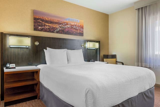 Best Western Royal Palace Inn & Suites-Standard Room, 1 Queen Bed, Non Smoking, Refrigerator & Microwave (Pet Friendly)-1