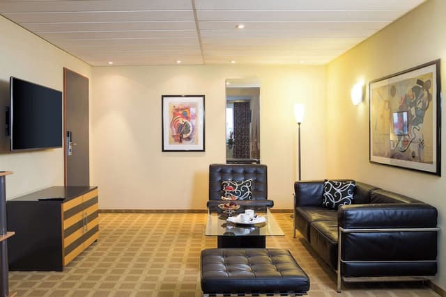 法蘭克福赫斯特林德納酒店 - 凱悅尚選品牌成員-普通套房-1