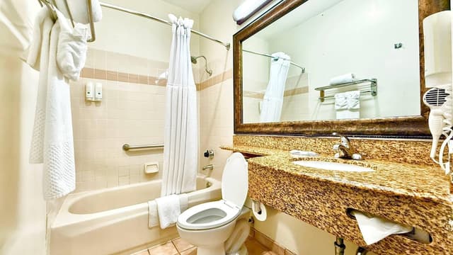 洛杉磯機場 - LAX 凱藝套房飯店-客房, 1 張特大雙人床, 浴缸-10