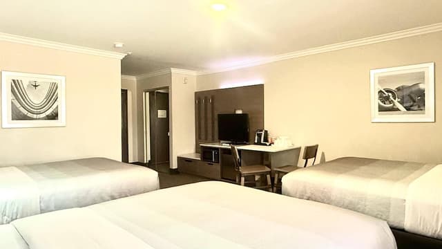 洛杉磯機場 - LAX 凱藝套房飯店-客房, 多張床, 無障礙, 非吸煙房-9