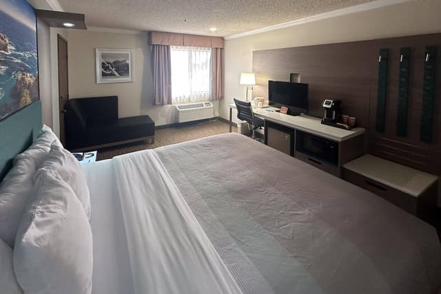 洛杉磯機場 - LAX 凱藝套房飯店-標準客房, 1 張特大雙人床, 非吸煙房-5