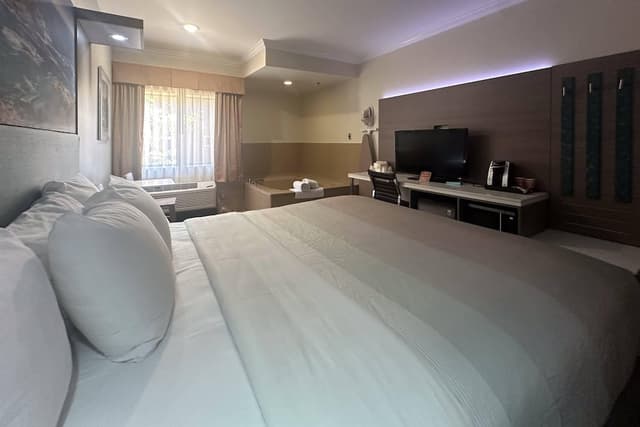 洛杉磯機場 - LAX 凱藝套房飯店-客房, 1 張特大雙人床, 浴缸-6