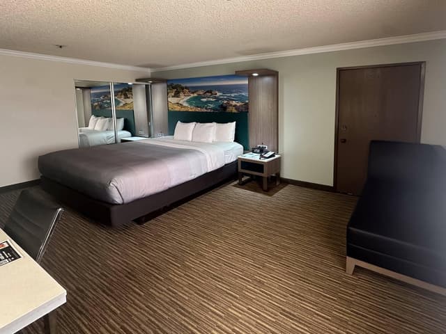 洛杉磯機場 - LAX 凱藝套房飯店-標準客房, 1 張特大雙人床, 非吸煙房-6