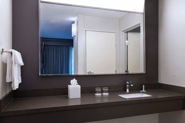 休斯敦庭院伍德蘭酒店-客房, 1 張特大雙人床及 1 張梳化床 (Mobility/Hearing Accessible, Tub)-3