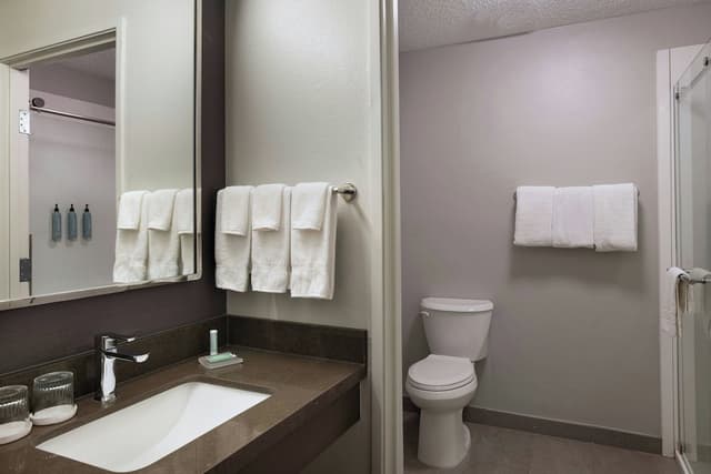 休斯敦庭院伍德蘭酒店-客房, 1 張特大雙人床及 1 張梳化床-4