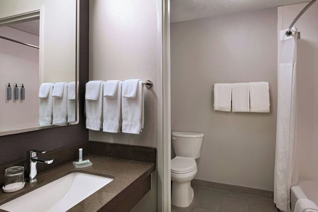 休斯敦庭院伍德蘭酒店-客房, 1 張特大雙人床及 1 張梳化床 (Mobility/Hearing Accessible, Tub)-4