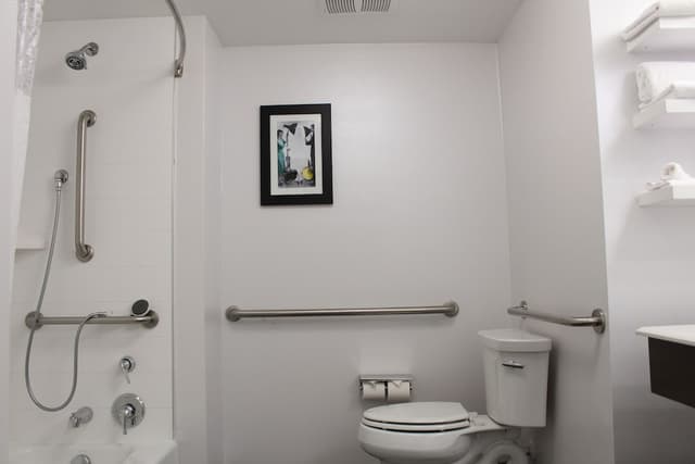 路易斯安那好萊塢歡朋套房飯店-客房, 1 張特大雙人床, 無障礙, 非吸煙房 (mob/hearing acc w/ roll-in shower)-4