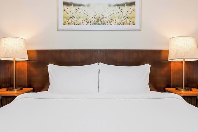 Fairfield Inn & Suites Houston Westchase-Executive Suite, 1 King Bed with Sofa bed-3