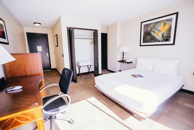 스테이 호텔 와이키키-Boutique Queen Room-11