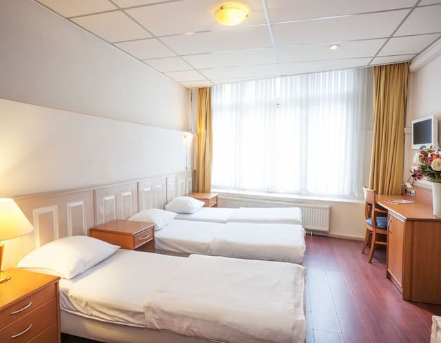 市中心三角洲飯店-三人房, 3 張單人床-2