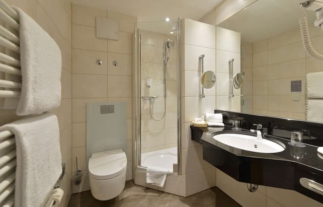 Best Western Plus Hotel Erb-Junior Suite, 1 King Bed, Balcony (with Sofabed)-8