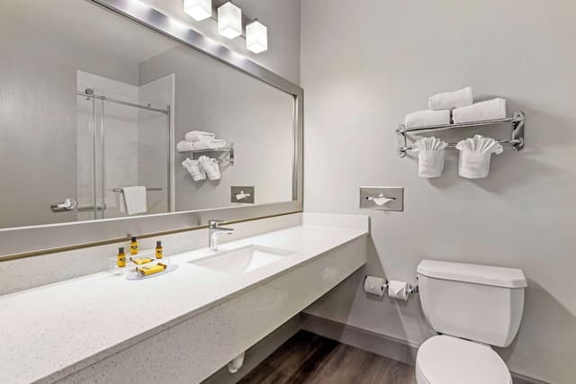 베스트 웨스턴 플러스 하비 에어포트 인 & 스위트-스위트, 킹사이즈침대 1개, 금연, 냉장고 및 전자레인지-4