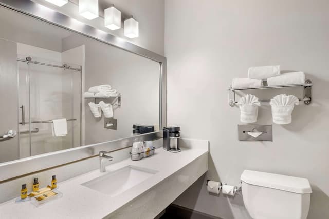 베스트 웨스턴 플러스 하비 에어포트 인 & 스위트-스탠다드룸, 킹사이즈침대 1개, 금연, 냉장고 및 전자레인지-4