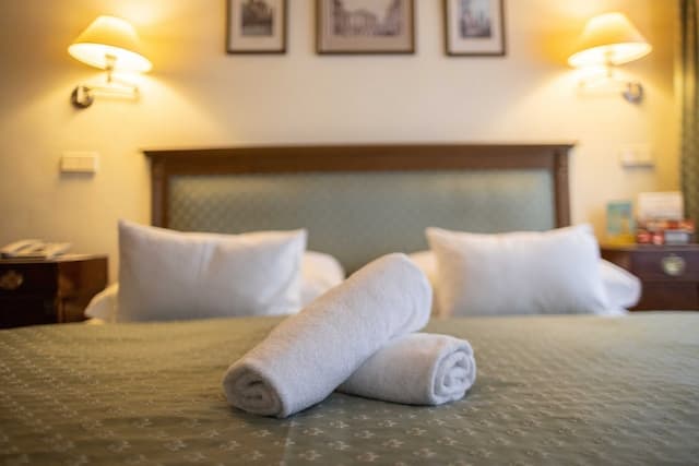 호텔 엘리트 프라하-스탠다드 더블룸 또는 트윈룸-5