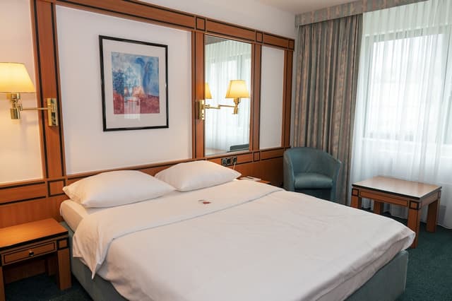 ホテル アマデウス フランクフルト-ビジネス ルーム クイーンベッド 1 台 (Business Room)-1