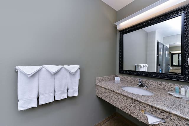 コンフォート スイーツ エアポート タクウィラ シアトル-スイート キングベッド 1 台ソファーベッド付き 禁煙-14