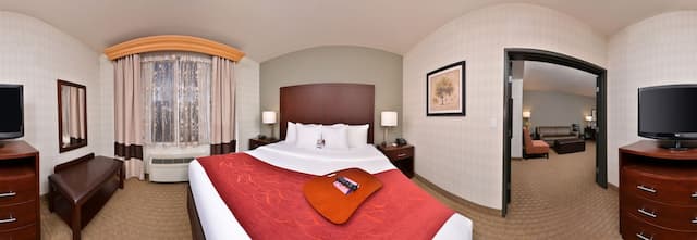 コンフォート スイーツ エアポート タクウィラ シアトル-スイート キングベッド 1 台ソファーベッド付き 禁煙-6