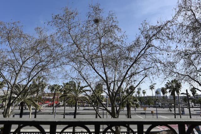 Duquesa de Cardona Hotel 4 Sup by Duquessa Hotel Collection-尊荣客房-11