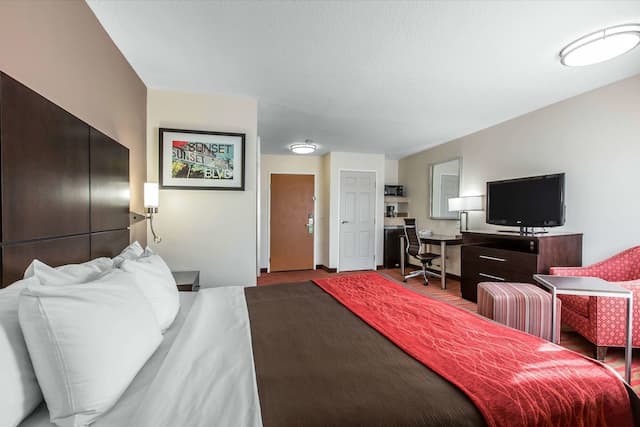 洛杉磯荷里活附近凱富酒店-標準客房, 1 張特大雙人床, 非吸煙房-12