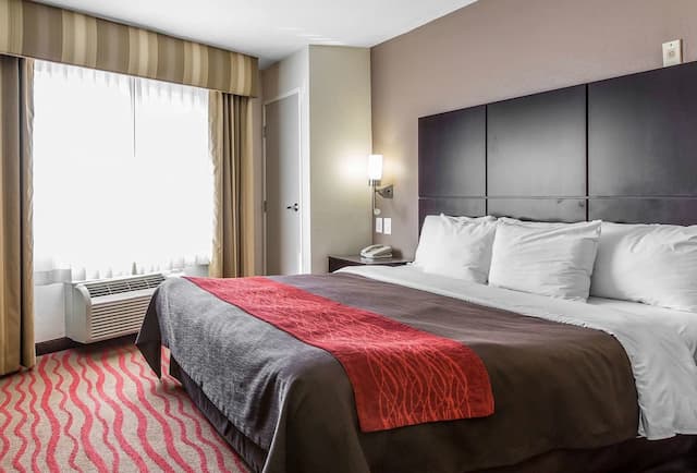 洛杉磯荷里活附近凱富酒店-標準客房, 1 張特大雙人床, 非吸煙房-11