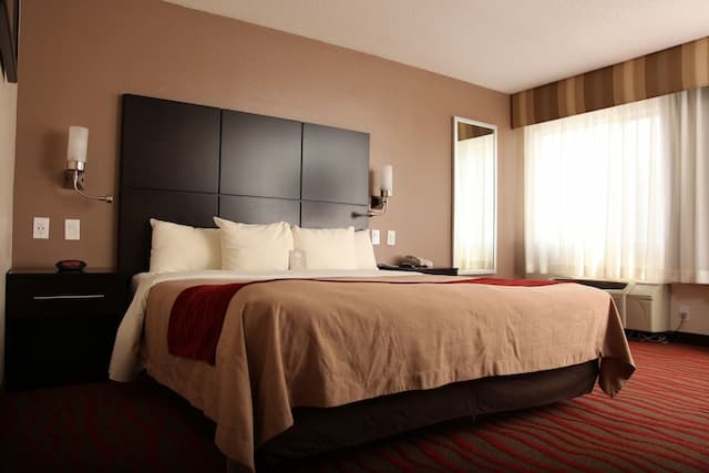 洛杉磯荷里活附近凱富酒店-標準客房, 1 張特大雙人床, 非吸煙房-2