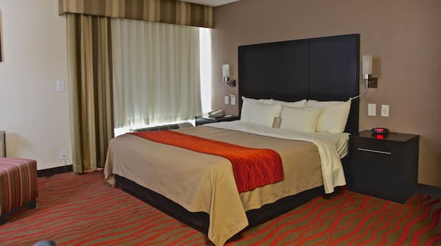 洛杉磯荷里活附近凱富酒店-客房, 1 張加大雙人床, 非吸煙房-3