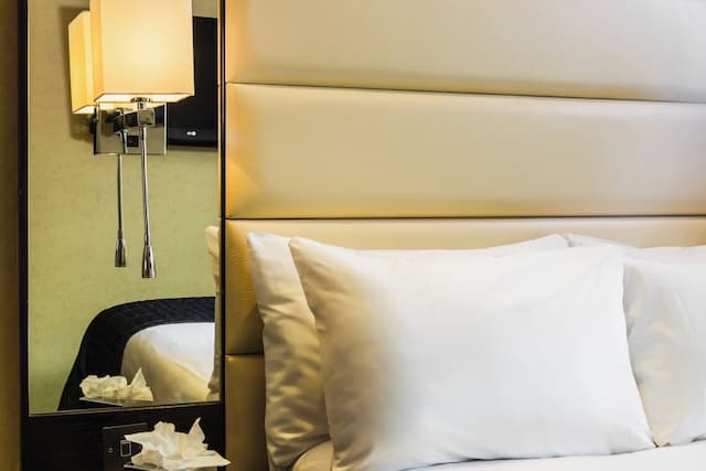 倫敦尊貴海德公園大酒店-經濟雙人房-3