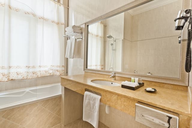 코셔 호텔 킹 데이비드 프라하-룸 (Spa entrance included)-6