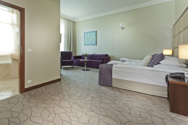 코셔 호텔 킹 데이비드 프라하-룸 (Spa entrance included)-2