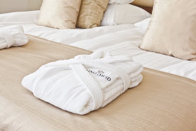 코셔 호텔 킹 데이비드 프라하-룸 (Spa entrance included)-3