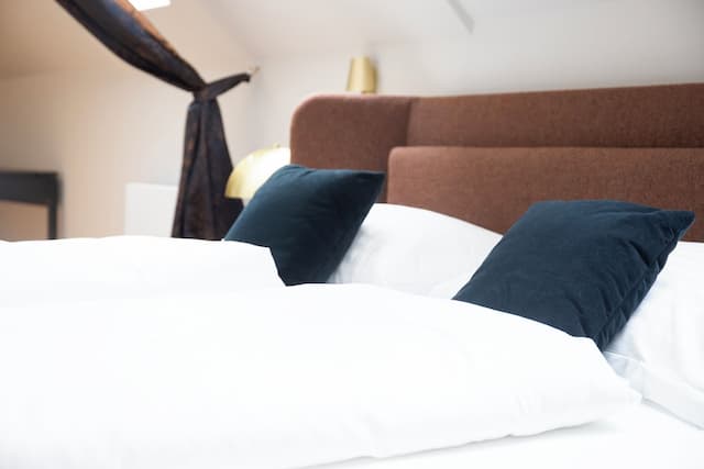 ブラックホーム ウィーン-コンフォート スタジオ-1