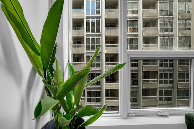 ジ アウレリアン ラックス コレクション-エグゼクティブ スイート-16