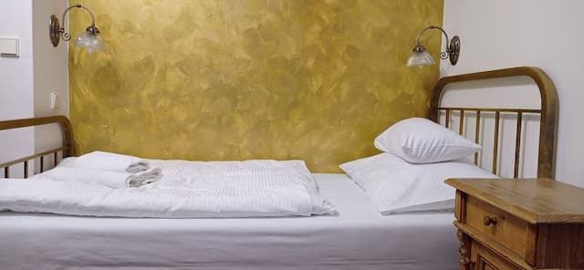 호텔 우 즐라테호 옐레나-스탠다드 싱글룸-4