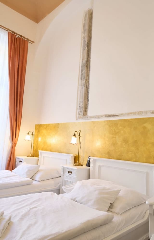 호텔 우 즐라테호 옐레나-스탠다드 더블룸 또는 트윈룸, 침실 1개, 앙스위트-11