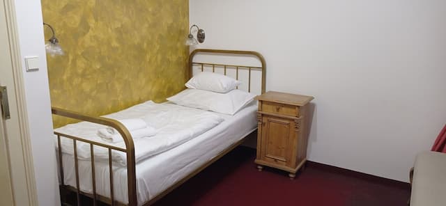 호텔 우 즐라테호 옐레나-스탠다드 싱글룸-1