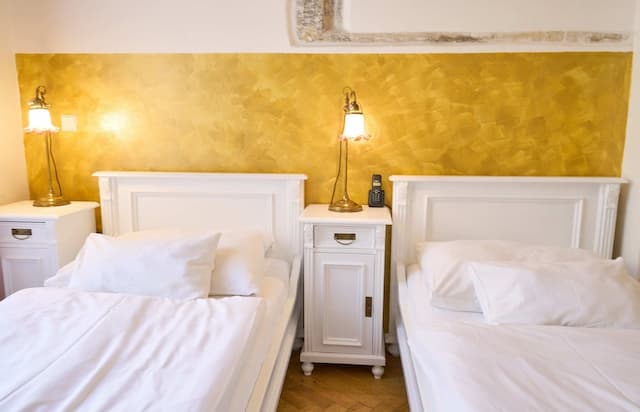 호텔 우 즐라테호 옐레나-스탠다드 더블룸 또는 트윈룸, 침실 1개, 앙스위트-13