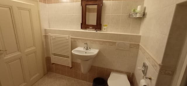 호텔 우 즐라테호 옐레나-스탠다드 싱글룸-6