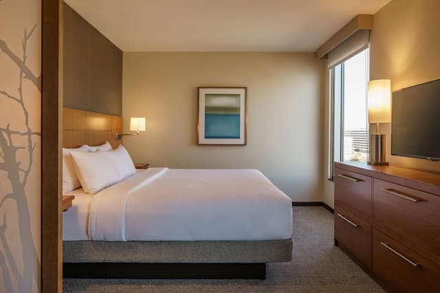 Hyatt Place Houston/Galleria-Suite, 1 Bedroom-3