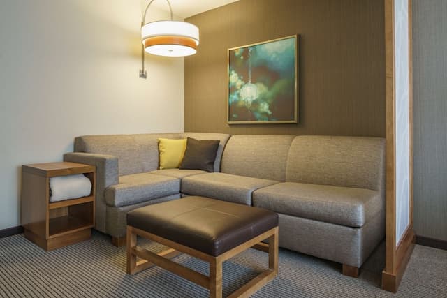 Hyatt Place Houston/Galleria-Suite, 1 Bedroom-4