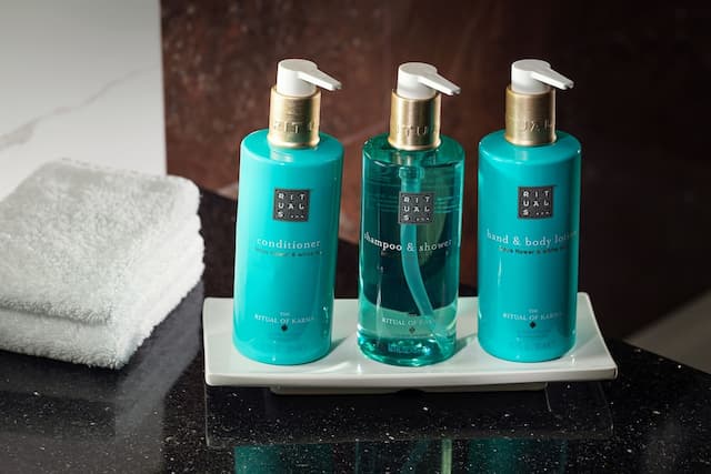 Cosmopolitan Hotel Prague-Deluxe Double or Twin Room-4